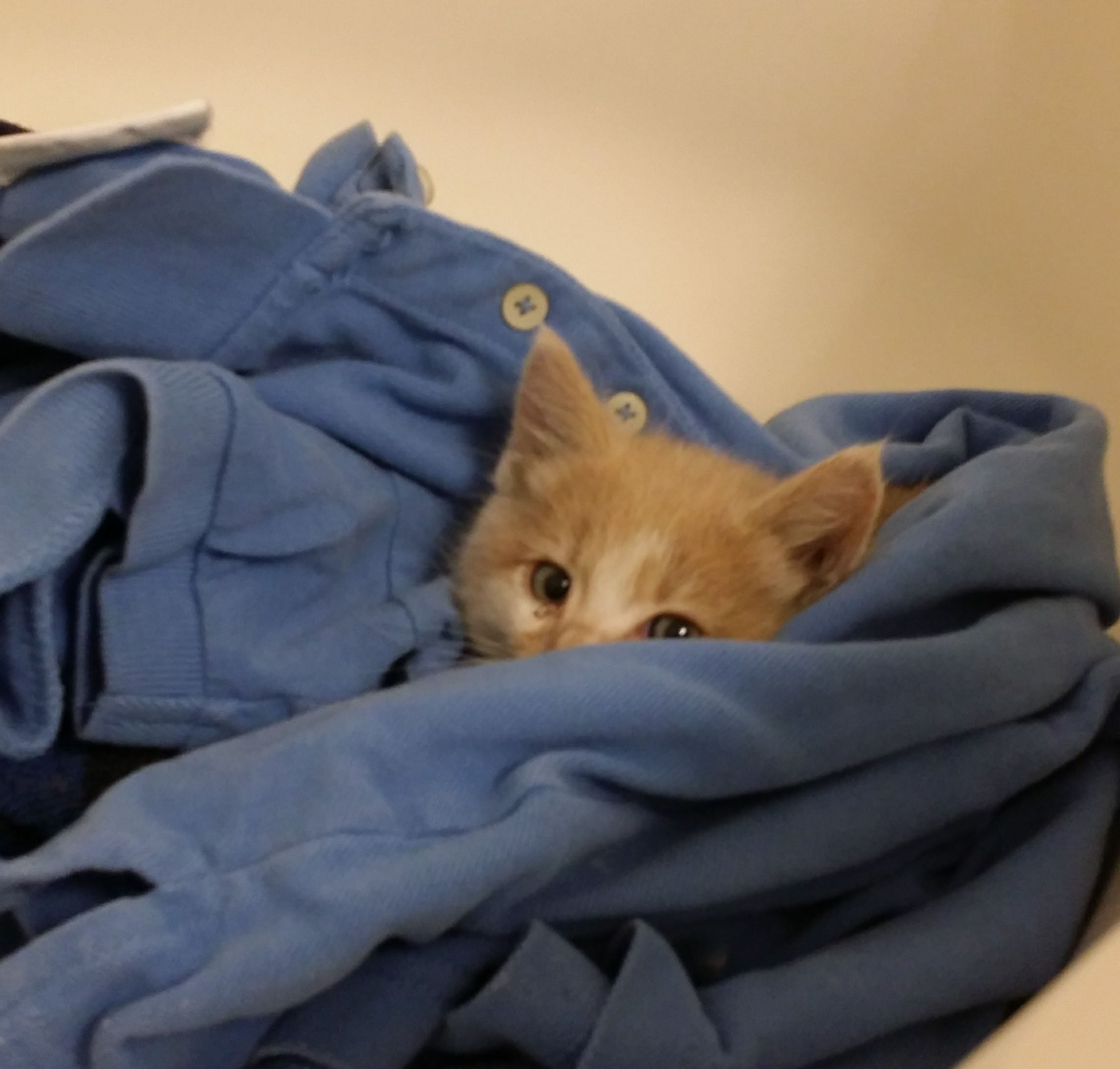 Tormund on the day he was rescued